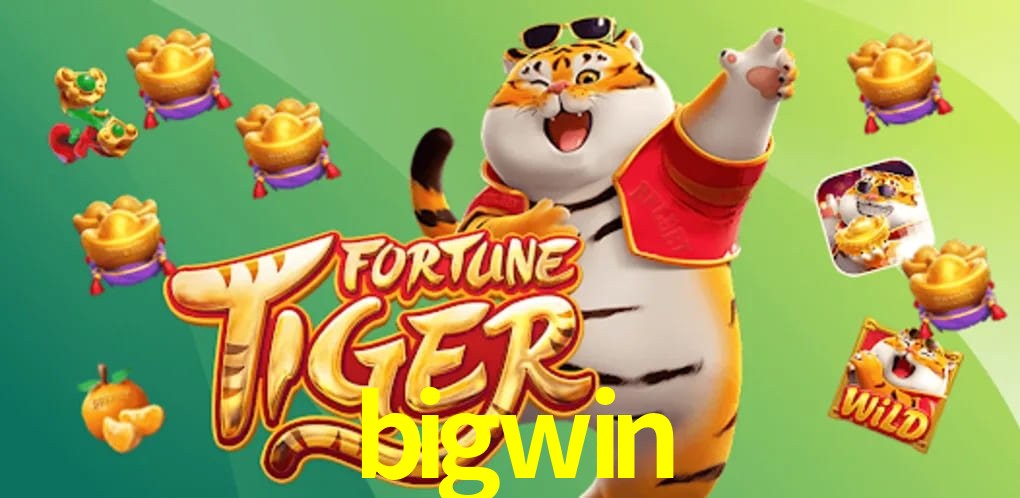 Responsive Design bigwin